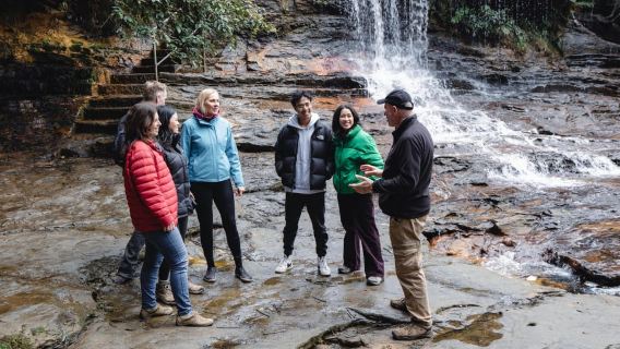 From Sydney: Blue Mountains Bushwalks & Featherdale Tour