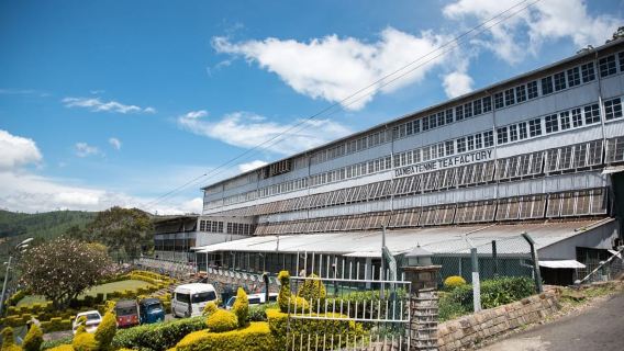 Ella: Lipton's Seat Tour with Dambetanna Tea Factory Visit