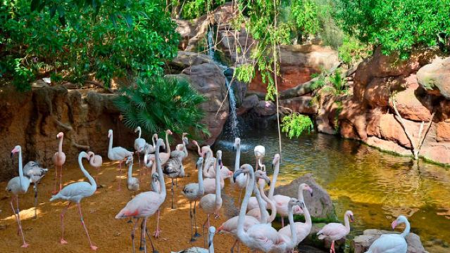 Fuengirola: Toegangsticket Bioparc