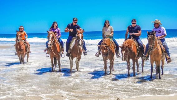 Cabo San Lucas: Horseback Riding in Migriño with Transfers