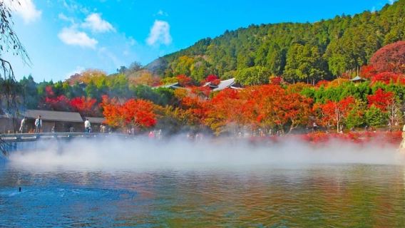 Osaka:Minoh,Katsuoji,Arashiyama,Byodoin (w/Kobe Beef Lunch)