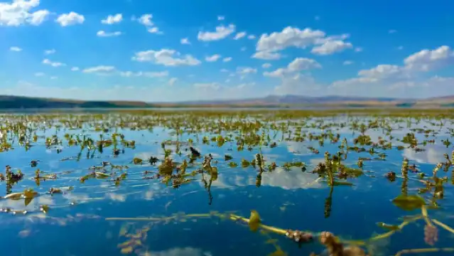 Cappadocia: Red Tour with Zelve Open Air Museum & Pasabag