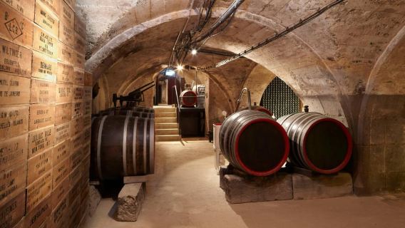 Koblenz: Wein- & Sektgeschichte(n) inkl. Wein/Sekt Verkostung