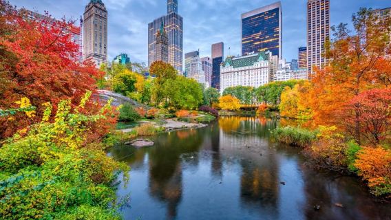 Visite privée de New York avec activités amusantes pour les familles et les enfants