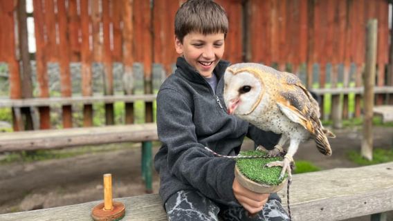Cape Town: Stellenbosch Guided Walk with Wine Tasting