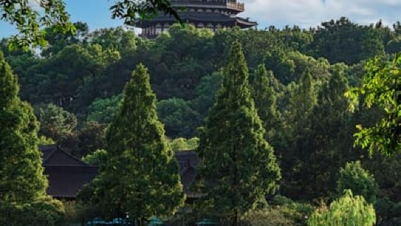 Desde Shanghái: Templos de Hangzhou, vistas al lago y diversión en el mercado nocturno