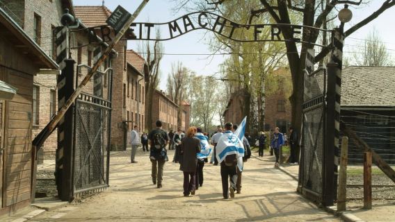 From Krakow: Auschwitz-Birkenau Memorial and Museum Tour