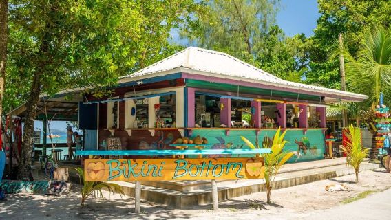 Seychelles: Tour tham quan trong ngày Đảo Praslin và Đảo La Digue