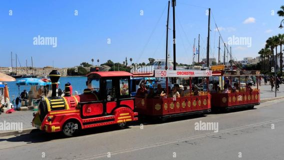 entrada de ferry de ida y vuelta Bodrum-Kos el mismo día desde el puerto del Castillo