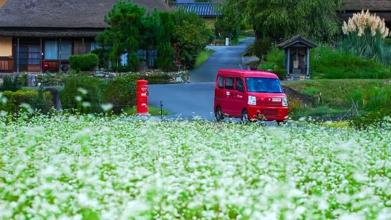 【五星旅行社出品】箕面+美山町一日遊·天天發團·免費上門接送