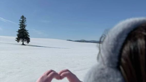 美瑛孤獨樹+白須瀑布+旭川動物園+森林精靈露台一日遊【小團】