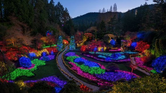 Victoria: Christmas Day Tour with Butchart Gardens from Vancouver