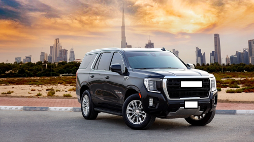 Dubai International Airport private charter with English-speaking driver Transport Passes 4