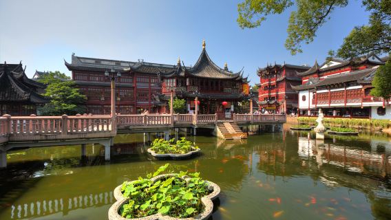 Tour di viaggio in cinese e inglese a Shanghai: Giardino Yuyuan + Zhujiajiao tour giornaliero