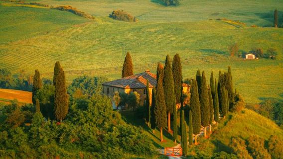 【文學歷史】英國倫福爾摩斯博物館+漢普頓宮+植物園包車一日遊