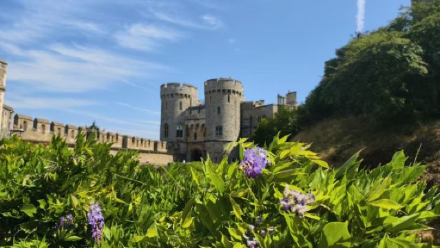 英國倫敦白金漢宮+倫敦塔+大本鐘+溫莎城堡一日遊