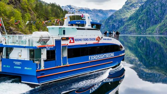 Bergen: Full-Day Fjord Cruise, Historic City Tour, & Fløien Funicular