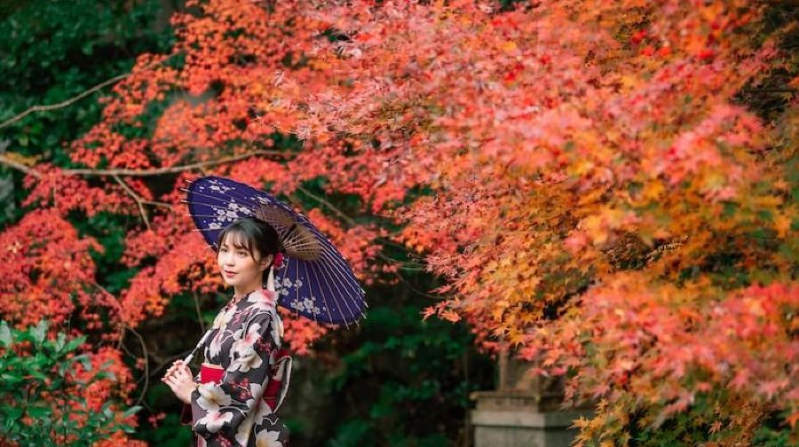 [官方票] JR關西迷你鐵路週遊券（WEST QR 二維碼進站）