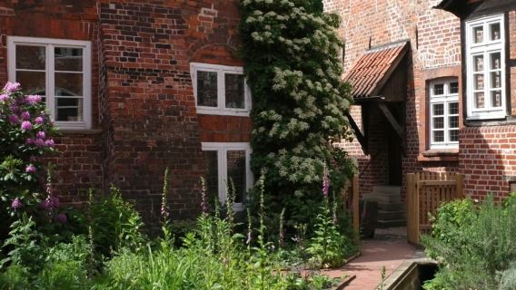 德國漢堡來回 Luna-Brunnen-紅磚老城線-鹽貿易歷史主題-包車-精選