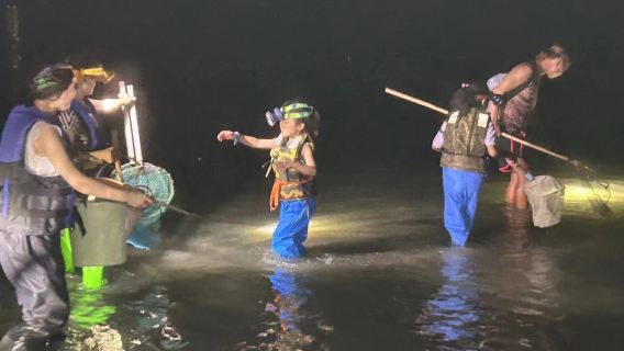 日月灣趕海 可選拉網海鮮粥 專業領隊帶領 收穫皆可帶走