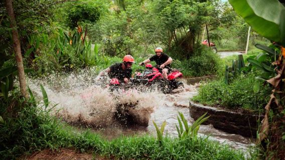 Bali ATV Ride in Ubud through Tunnel, Rice Fields, Puddles