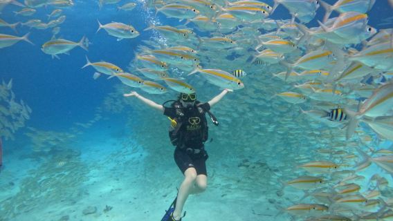 Excursión de un día en Phuket, Tailandia: Buceo en las islas Racha en lancha rápida | 1 inmersión + visita a dos islas | Sin experiencia previa ni necesidad de saber nadar