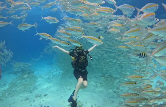 泰國布吉體驗潛水水肺潛水1天【皇帝島快艇深潛一日遊|深潛1次 + 雙島遊|0 基礎唔識游水都可潛】