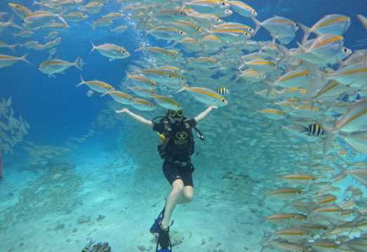 Phuket Scuba Diving Experience 1-Day Tour [Racha Yai Island Speedboating Deep Dive Day Tour | 1 Deep Dive + Twin Island Tour | No Experience or...