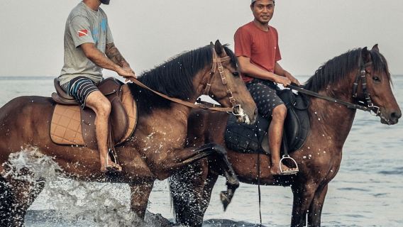 Experiencia de equitación en la playa negra de Bali, Saba Beach