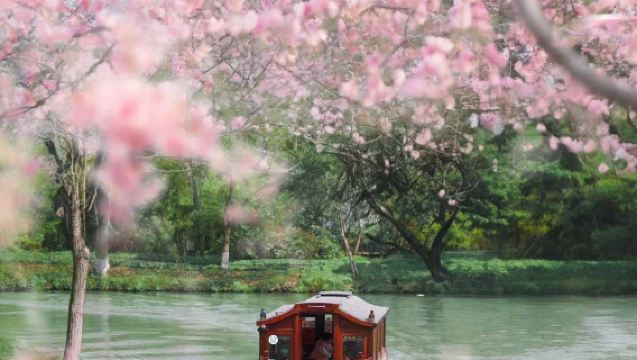 2-Hour Hangzhou Xixi Wetland Park Cruise & Cultural Experience | Check-in at If You Are the One Filming Location with Bilingual Guide