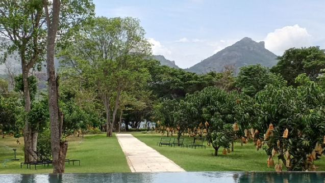 Visit Sigiriya Lion Rock and Dambulla Cave Temple