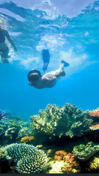 Komodo Hatamin jelly sea private island half-day tour | beach + snorkeling + coral paradise