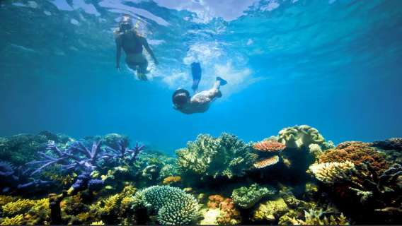 Komodo Hatamin jelly sea private island half-day tour | beach + snorkeling + coral paradise