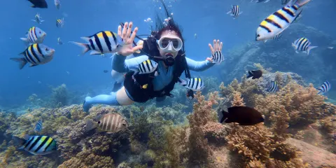 上門接【亞龍灣遠海潛水】贈【魟魚浮潛+電音燒烤派對】一日遊