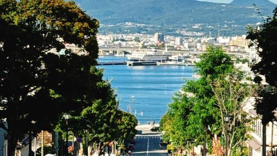 Lawatan sehari sewaan peribadi Hakodate Hachimanzaka + Goryokaku + Gudang Bata Merah Kanemori + Gunung Hakodate dengan pemandu berbahasa Cina