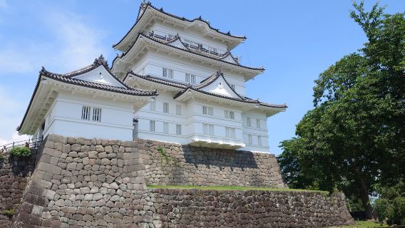 Odawara Castle experience tour from Shinjuku by IKI Concierge