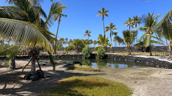 Amerika Hawaii Pulau Besar - Panorama Selatan Kailua-Kona - Lawatan Sehari Sewaan Peribadi Ringan (Tiket Tidak Termasuk)