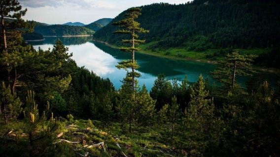 Belgrade pergi-balik | Lawatan Sehari ke Taman Negara Tara + Rumah Kecil di Sungai (Tidak Termasuk Tiket)