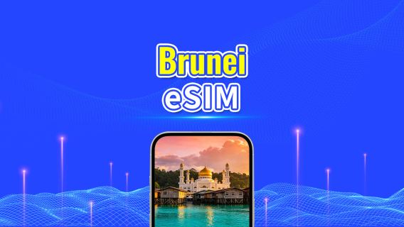 Brunei 5G eSIM | Pakiet dzienny/pakiet danych | Rozliczanie 24-godzinne | 1-30 dni | Kod QR