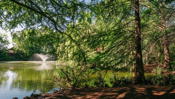 San Antonio: entrada al Jardín Botánico