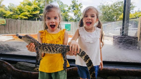 Homestead: Everglades Alligator Farm Entry and Airboat Ride