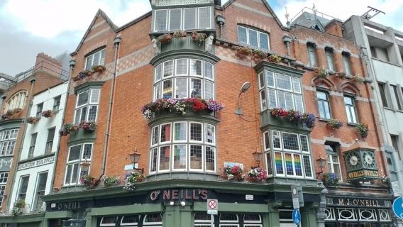 Dublin : Visite guidée en français. Sites incontournables et trésors cachés.
