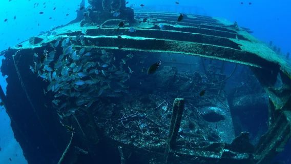 Sao Miguel Island: Scuba Dive for Certified Divers