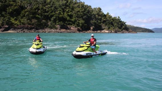Airlie Beach: Jet Ski Safari Hour of Power and Marine Life