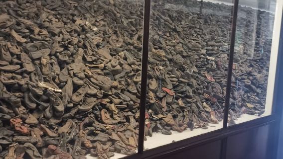 Da Cracovia: Gita di un giorno con guida al complesso del campo di Auschwitz-Birkenau