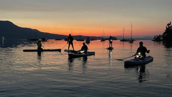 Brentwood Bay: Biolumineszenz-Tour