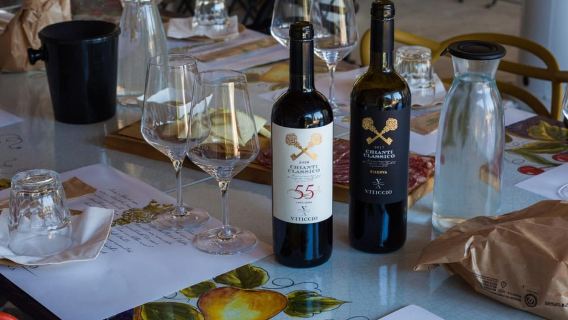 Discover the Wines of Chianti Classico with a Visit and Tasting in Viticcio