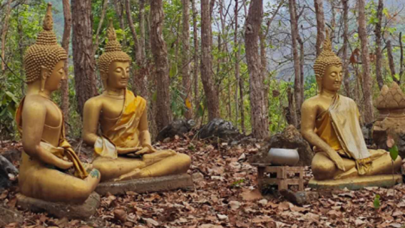 Excursión de medio día de aventura en el bosque de Xiangman Village en Luang Prabang | Senderismo en cuevas kársticas · experiencia de pesca y cocina de pescado