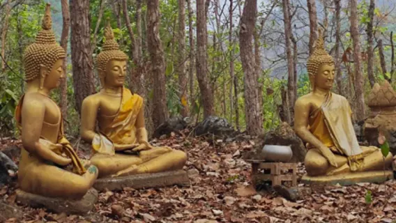 Excursión de medio día de aventura en el bosque de Xiangman Village en Luang Prabang | Senderismo en cuevas kársticas · experiencia de pesca y cocina de pescado