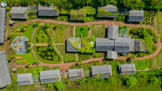 Hội Anin luomupuutarha ja vietnamilainen ruoanlaittokokemus